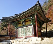 [산과 사람, 경기를 세우다]29.용문산 은행나무 아래서 마의태자를 그리다