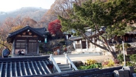 [山과 사람, 京畿를 세우다]30.운길산과 세조와의 인연