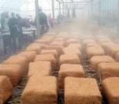 계양구마을기업 다남동마을회, 메주 만들어 농가소득 올려