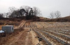 [박용길의 경매이야기]임대차보호법에 의한 대항력 갖춰야 법적 보호 받을수 있어
