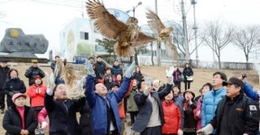 광주의제21, 남한산성·무갑산 야생조수에 먹이주기 운동