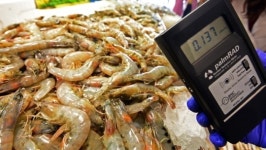 농산물 방사능 안전성검사