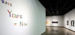 성남아트센터 신진작가 공모전 수상작가들 기획전