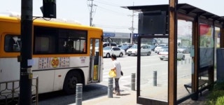 횡단보도=정류장, 아찔한 버스 정차