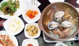 [맛집 데이트]연천 송학한방삼계탕