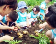세계 40개국 음식ㆍ맛의 축제…건강한 식생활 되살린다