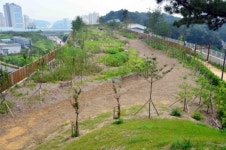 비생태적인… 500억 짜리 생태통로