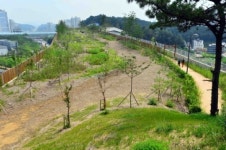 비생태적인… 500억 짜리 생태통로