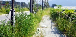 수백억 들인 홍죽산단 도로 관리 안돼 엉망