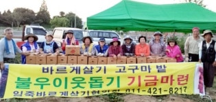일죽면 바르게살기위원회, 고구마수확 수익금 불우이웃에 전달