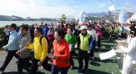 코스모스 향기 맡으며 같이 걸어요~