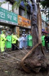 어린이 보행 장애물 옮겨요