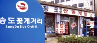 신선한 바다의 맛ㆍ정겨운 어머니 손맛… 거리마다 맛집 음식천국 따로없네