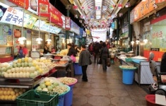 신선한 바다의 맛ㆍ정겨운 어머니 손맛… 거리마다 맛집 음식천국 따로없네