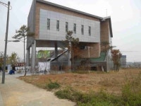 소나무 고사… 김포 구래동주민센터 부실 조경
