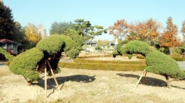 수원시, 내년말까지 7대 테마 자연학습장 조성