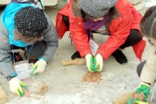 가평군, 아침고요수목원·잣 마을 등 생태문화 체험