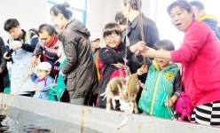 [새해 시정 이렇게_ 인천 동구]정치·경제·문화의 중심 옛 명성찾기 총력