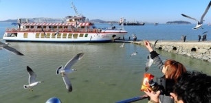 갈매기와 친구하기 쉽죠~