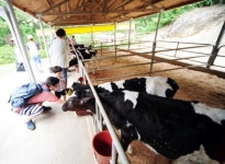 엄마, 주말에 밀크스쿨 가보고 싶어요~