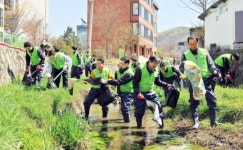 하나님의 교회, 수원 이매동서 대대적 정화활동