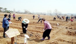수원 농업기술센터, 도시농부학교 수강생 모집