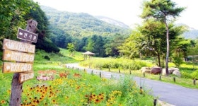 자연ㆍ역사ㆍ문화의 어우러짐… 남양주의 봄