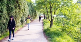 힐링 품은 오월의 향기, 습지 산책로 따라 바다로 흐르고…