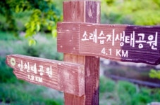 힐링 품은 오월의 향기, 습지 산책로 따라 바다로 흐르고…