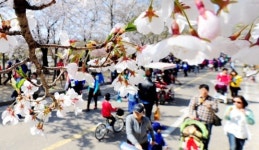 힐링 품은 오월의 향기, 습지 산책로 따라 바다로 흐르고…