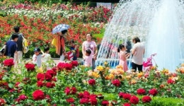 힐링 품은 오월의 향기, 습지 산책로 따라 바다로 흐르고…