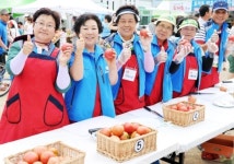 탱글탱글 토마토 세상 … 맛있게 즐기자!