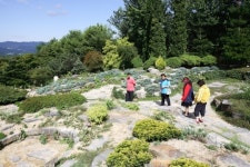 꽃내음… 풀내음… 무더위 잡는 자연의 향기 가득