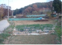 [추천 경매물] 수원 영통 망포동 아파트 外