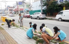 동두천시 생연2동주민센터, 인도변 잡초제거 봉사활동
