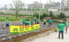 남양주시 퇴계원면 새마을지도자협의회, 불우이웃돕기 배추심기 행사 실시
