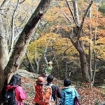 계룡산 첫 단풍 관측, 평년보다 4일 빨라… 이유는?