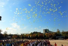 2014년 한마음체육대회