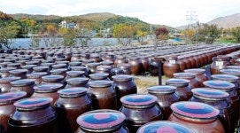 보고 만들고 맛보고… 이보다 더 좋을순 없다