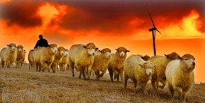 서로 배려해주는 평안한 한해가 되기를...