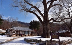 고향처럼 정겨운 고택서 우리 멋 느껴볼까