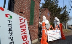 수원 서울대 실험농장 구제역 방역