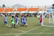 잣 고을 가평에 축구 꿈나무 한마당 축제 개최된다