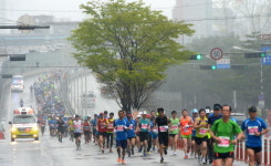 제13회 경기마라톤 대회 즐거운 레이스