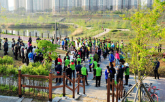 운정호수공원주변 중앙공원, 꽃밭조성