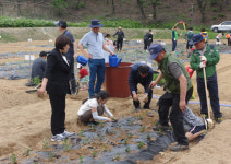 양주시농업기술센터, 시민행복 주말농장 개장