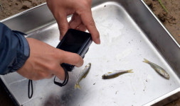 오성복합화력발전소 사후환경영향조사