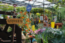 향기에 갇히다 화성 원평허브농원·양평 들꽃수목원