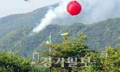 광주 쌍령동 경안천앞 야산서 불… 소방당국 진화나서(1보)