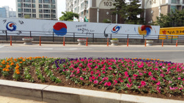 구리시 수택1동 주민센터, 여름꽃 6천본 식재 꽃의 거리 조성